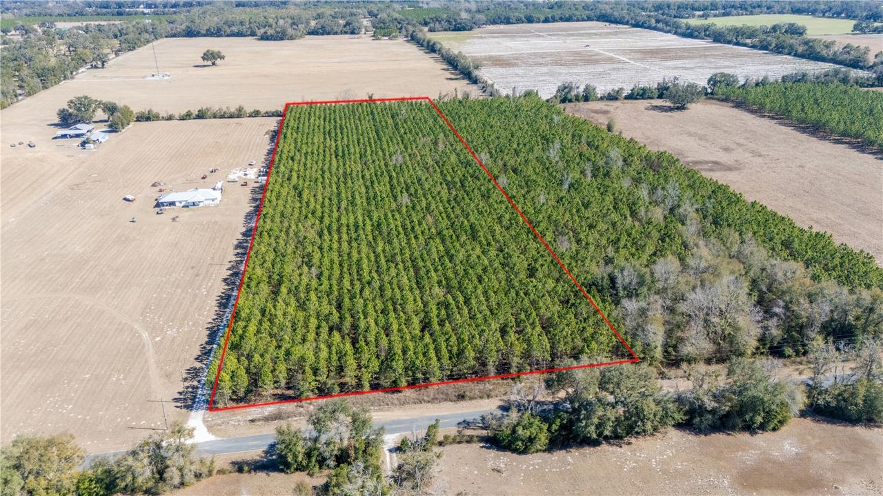 Nw 10th Ave., Trenton, FL 32693