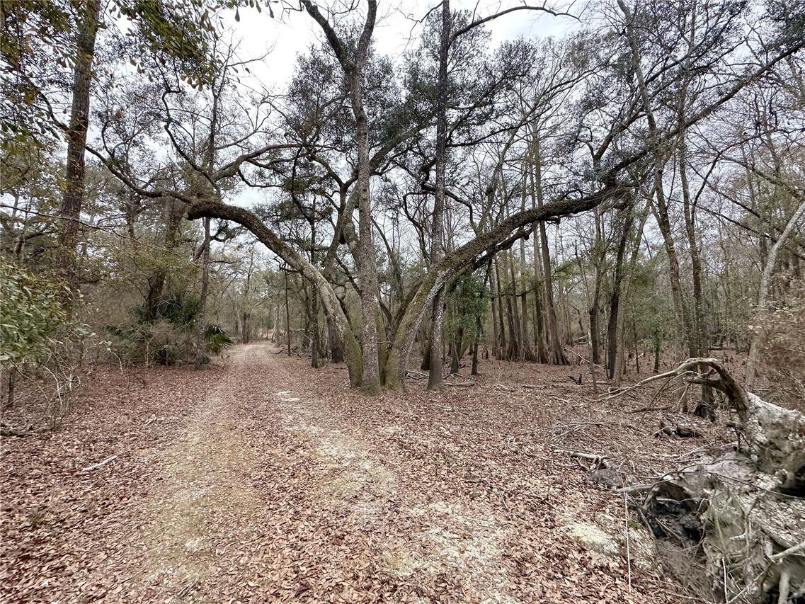 7875 SW County Road 344, Bell, FL 32619