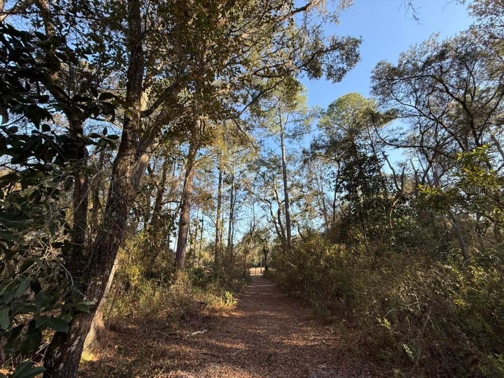 000 NE 126 St., Bronson, FL 32621