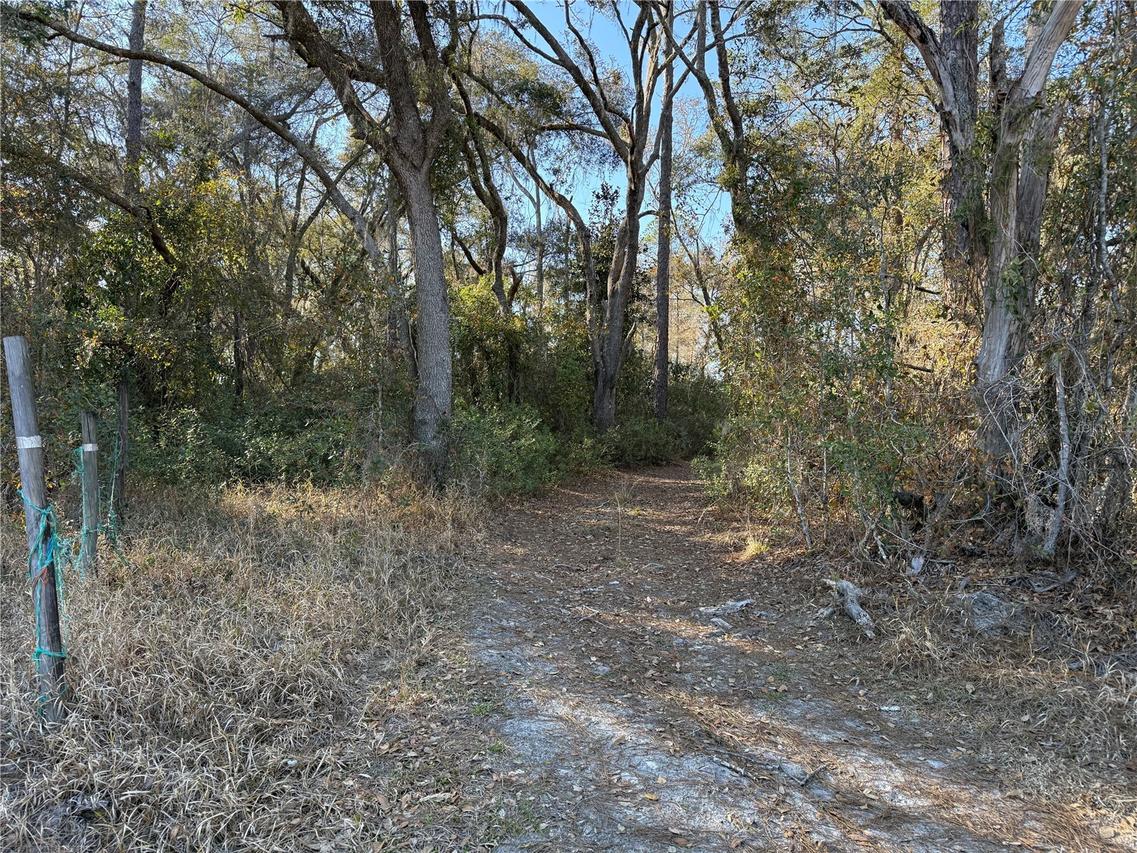 01 NE 126 St., Bronson, FL 32621
