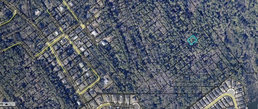 6120 Orange Tree Dr., St Augustine, FL 32095