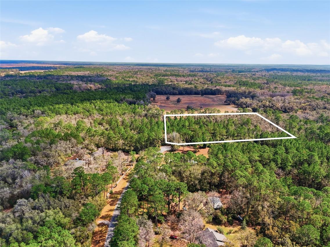 1321 SW 119th Pl., Micanopy, FL 32667