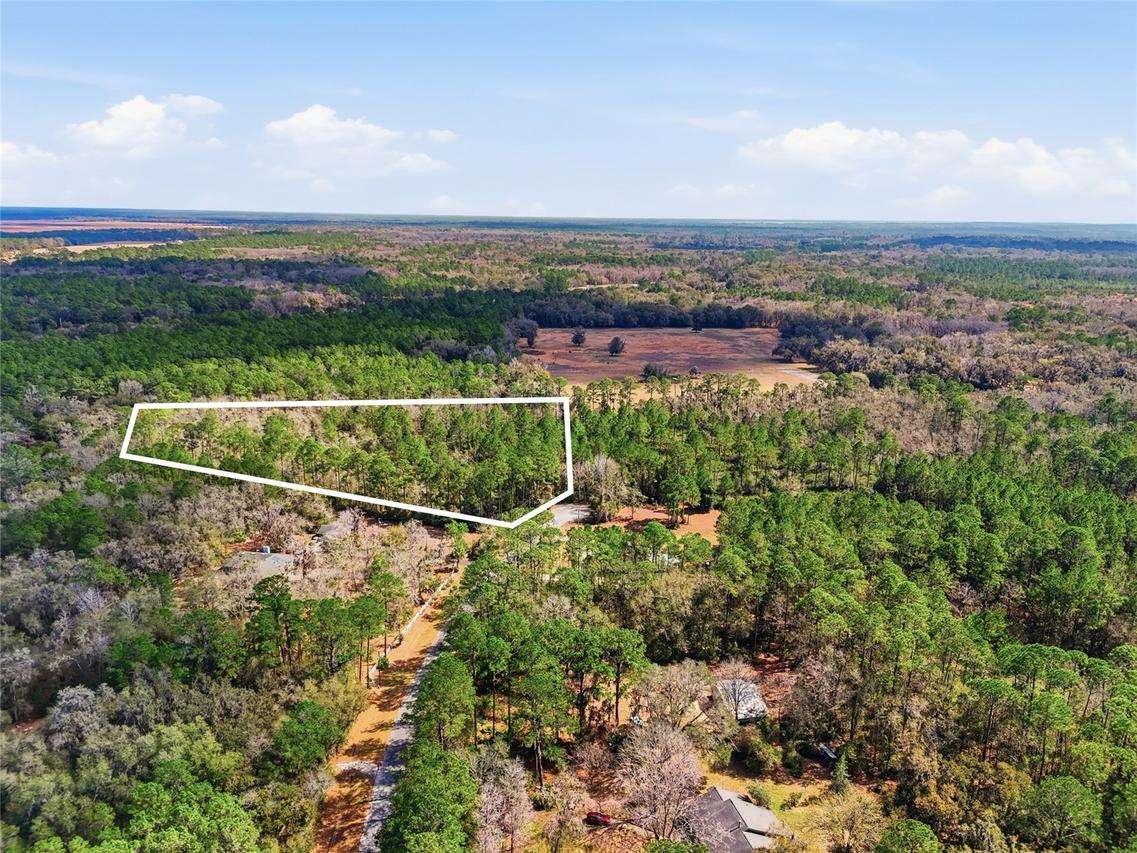 1316 SW 119th Pl., Micanopy, FL 32667