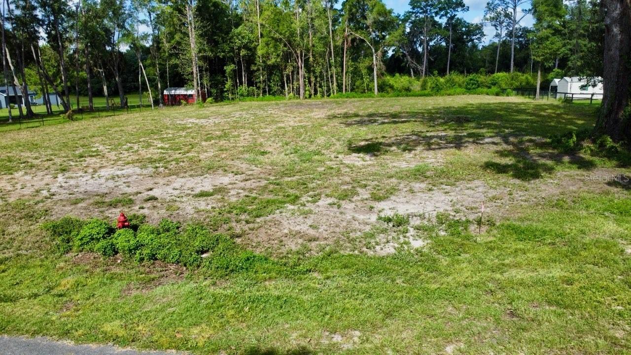 TBD SW 9th St., Williston, FL 32696