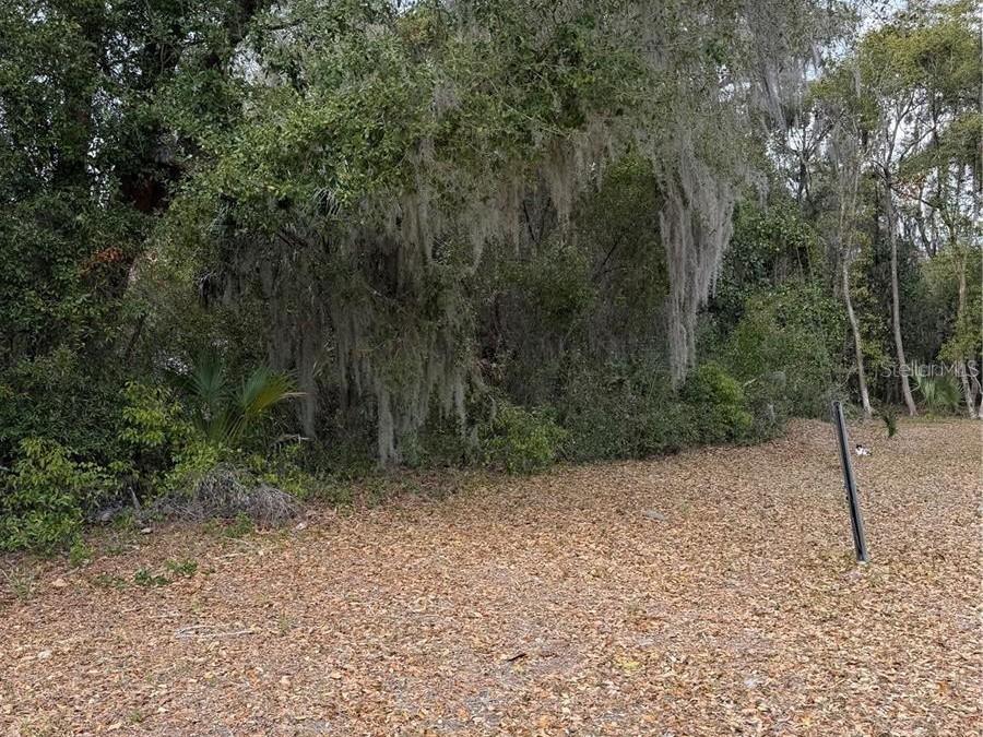 SE 65th Ave., Hawthorne, FL 32640