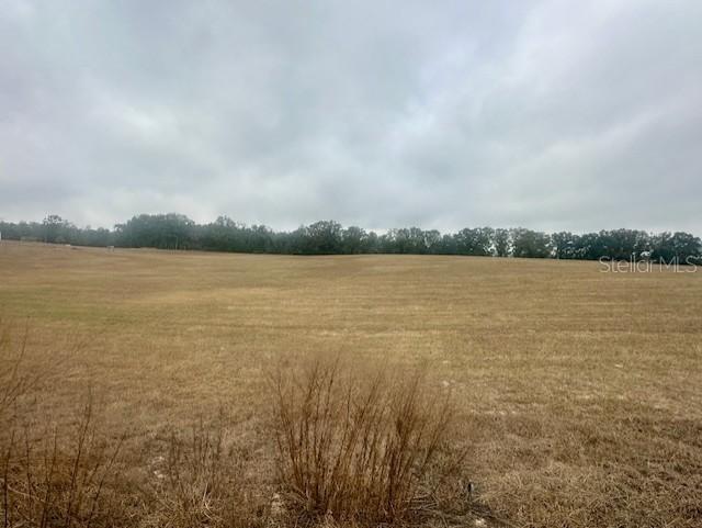 NW 31st St., Bell, FL 32619