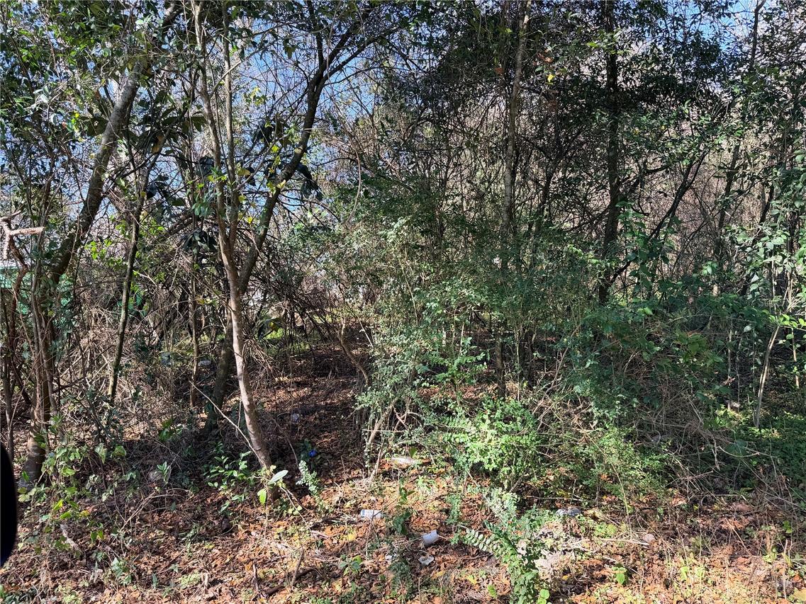 TBD NW 151st Ave., Alachua, FL 32615