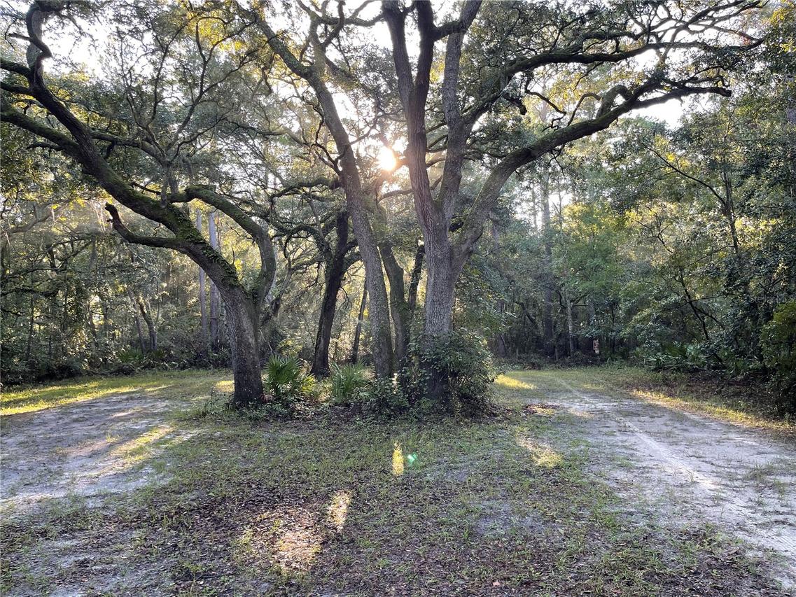 TBD 188th Pl., Mc Alpin, FL 32062