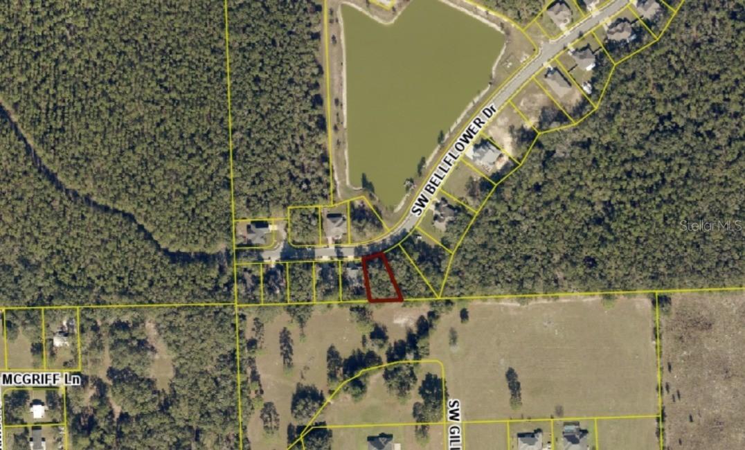 593 SW Bellflower Dr., Lake City, FL 32024