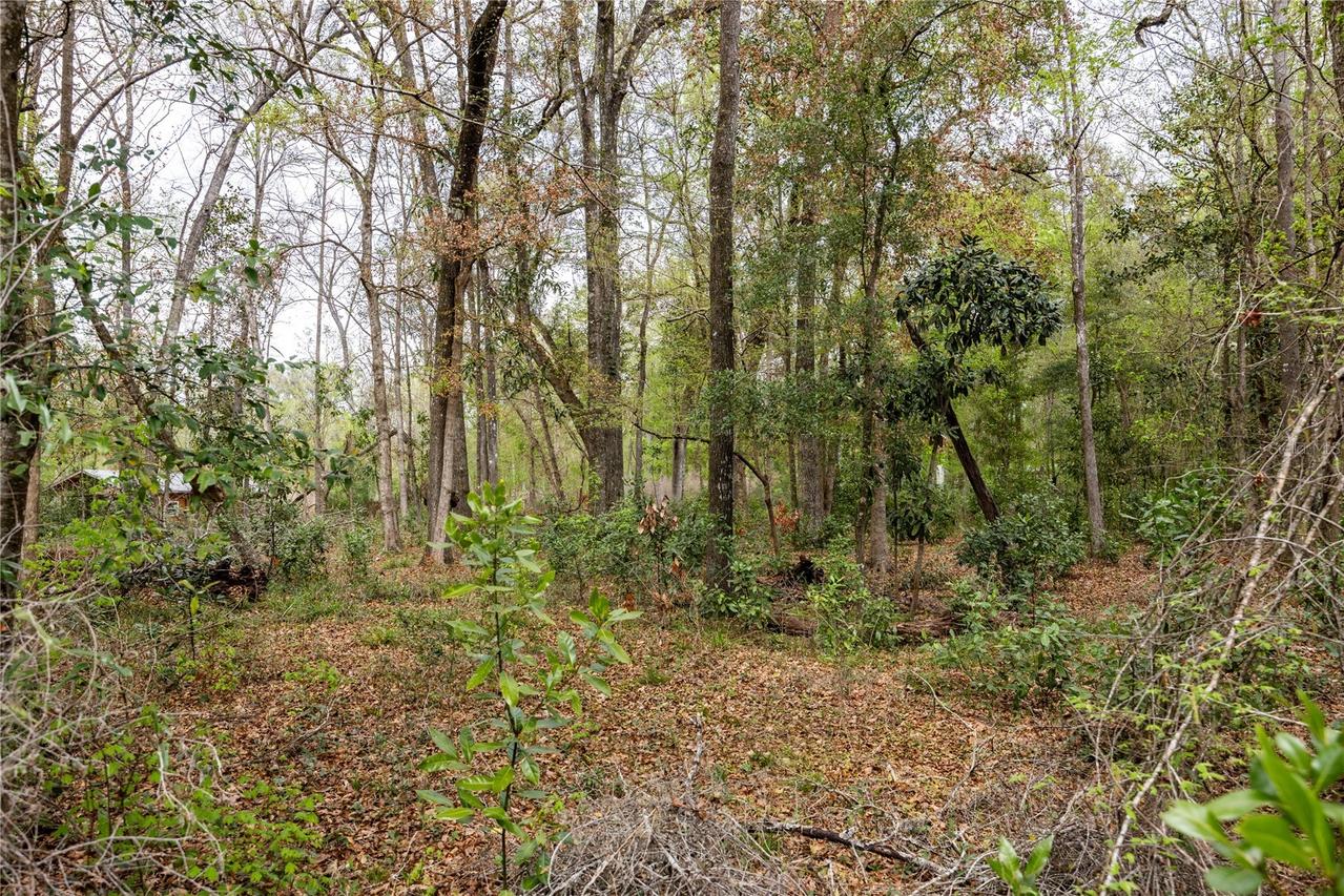 Lot 45 SW Boston Ter., Fort White, FL 32038