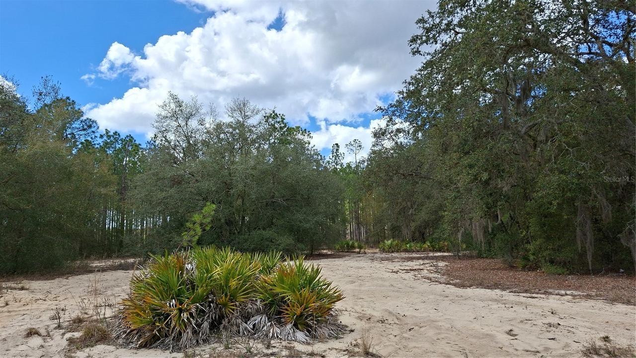 Fisher Way, Ocklawaha, FL 32179