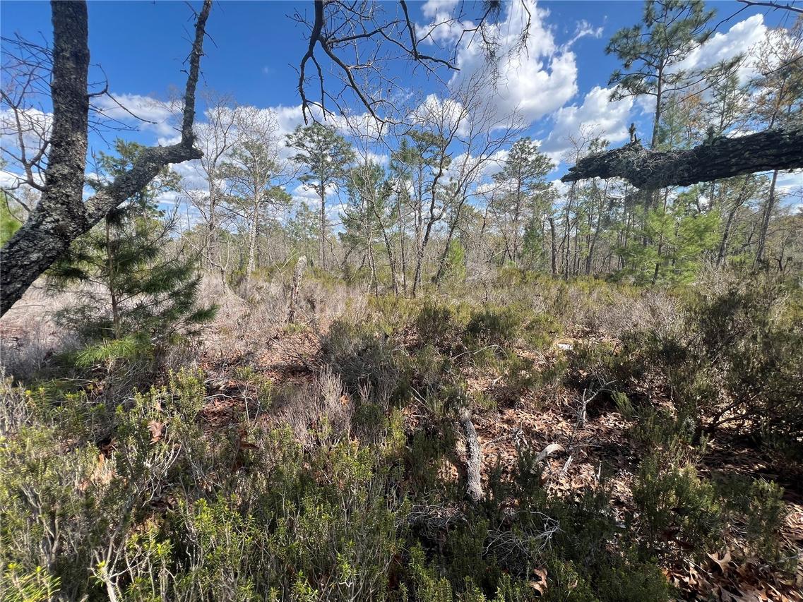 131 Quail Way, Hawthorne, FL 32640