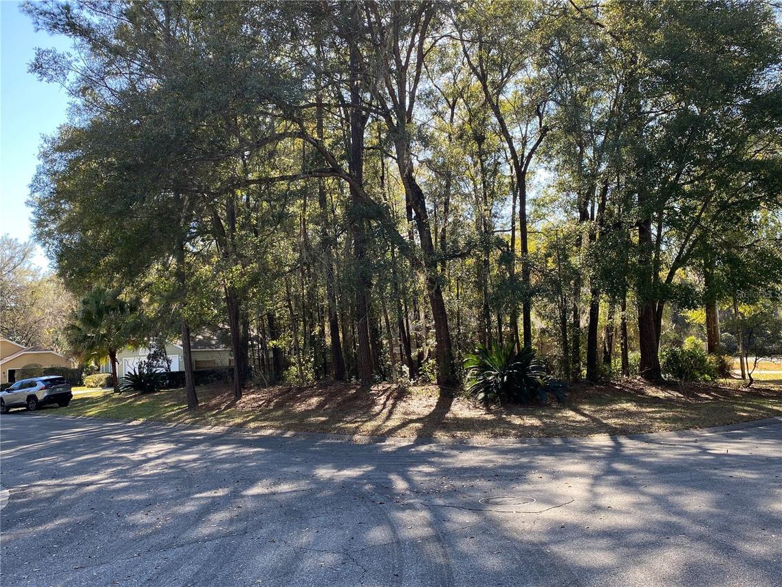 12345 NW 10th Pl., Newberry, FL 32669