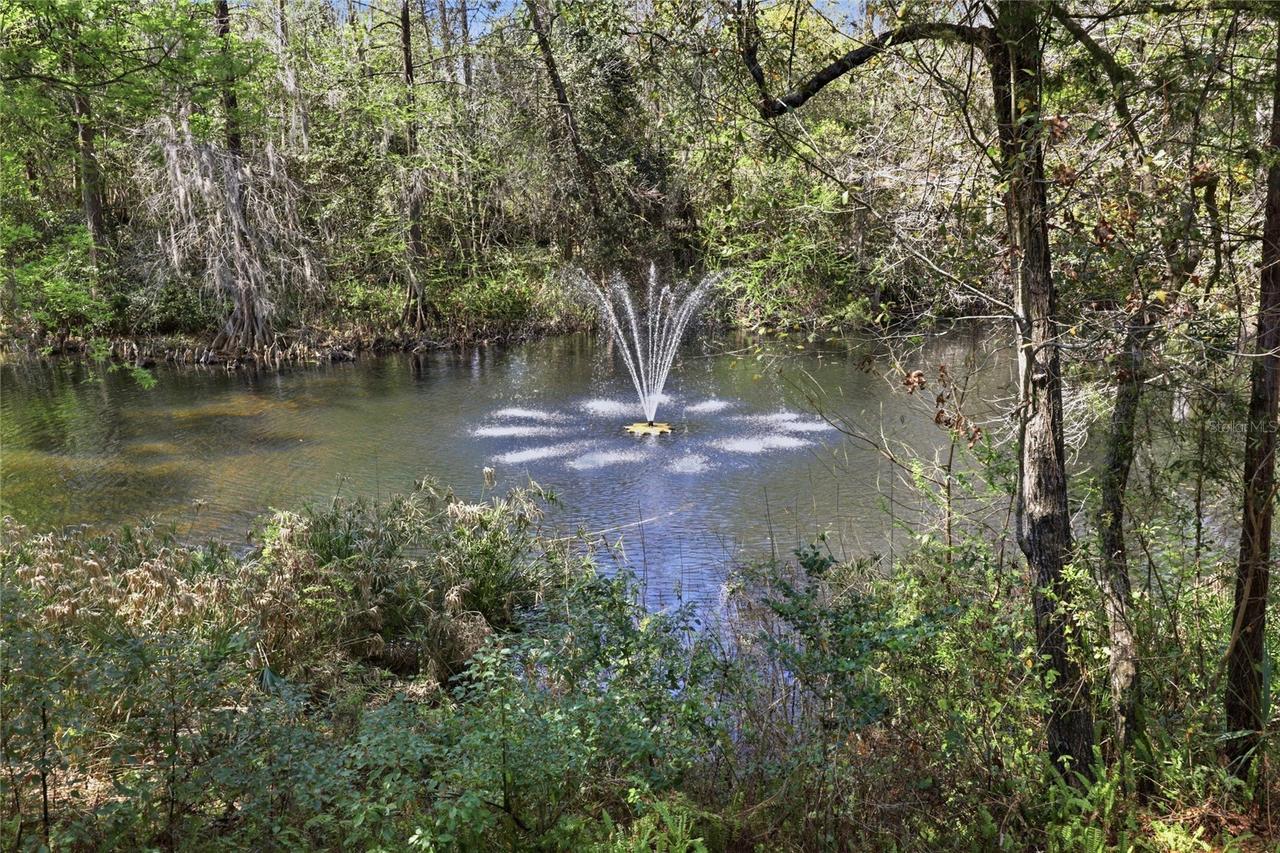 5328 NW 9th Ln., Gainesville, FL 32605