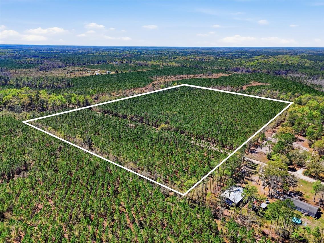 TBD SE Pounds Hammock Rd., Lake City, FL 32025