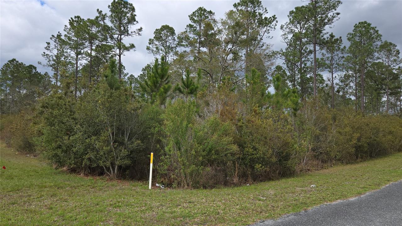 Lot 9 NW Natalie Way, Lake City, FL 32055