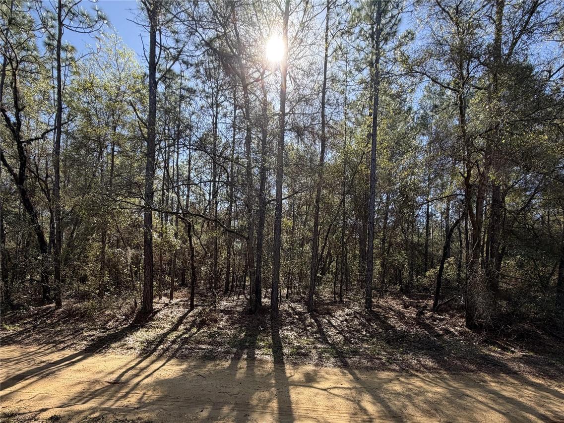 SE 7th Ave., Interlachen, FL 32148