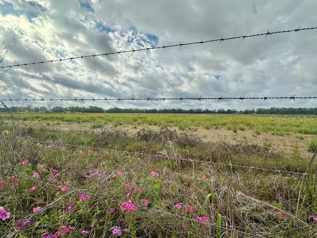 SW 80th St., Trenton, FL 32693