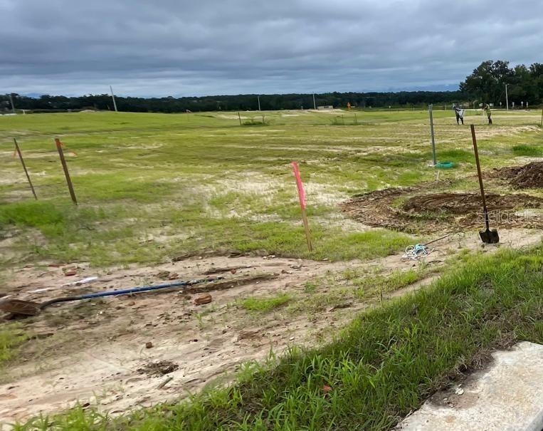 17005 NW 141st Dr., Alachua, FL 32615