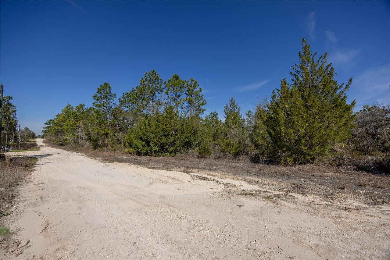 000 NE 64th Pl., Williston, FL 32696