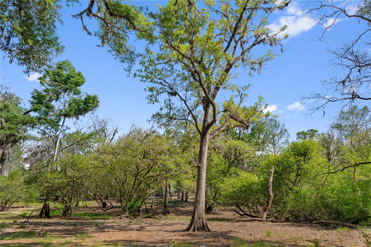 [Address Hidden by Seller], Old Town, FL 32680