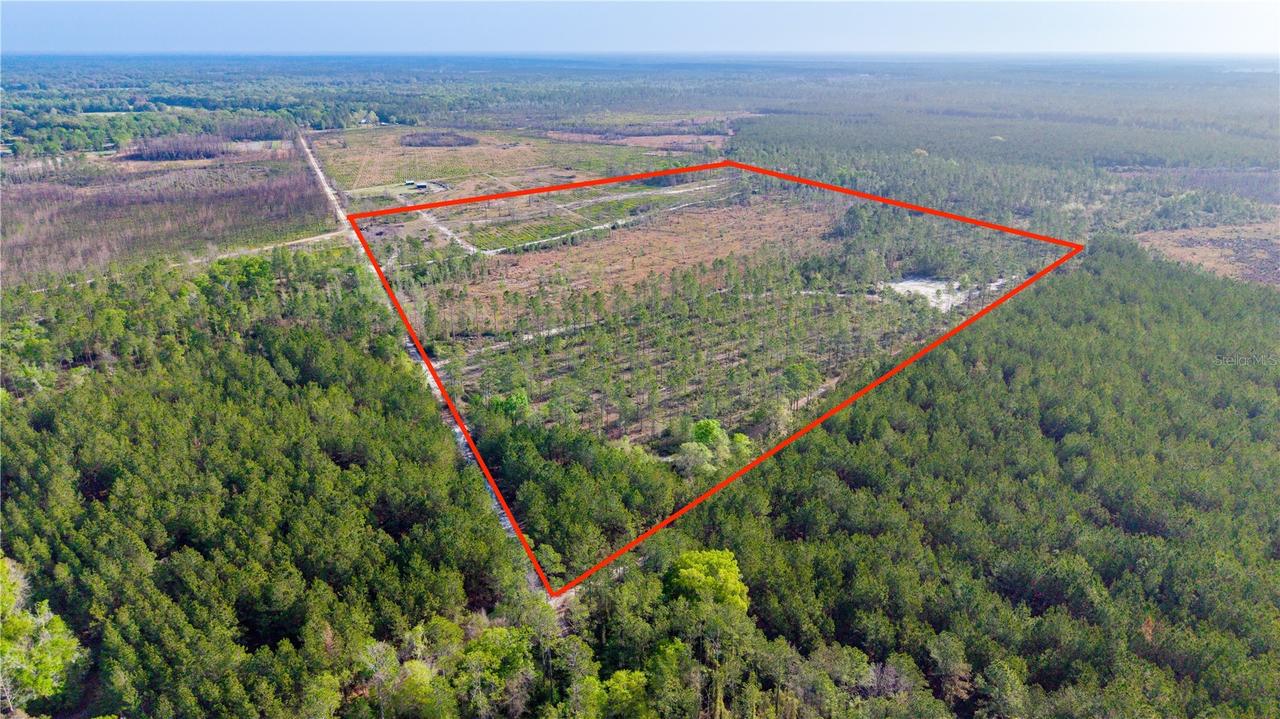 TBD NE 83rd Way, Gainesville, FL 32609