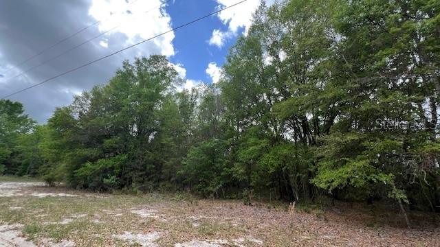 3320 SW 157th Ter., Archer, FL 32618