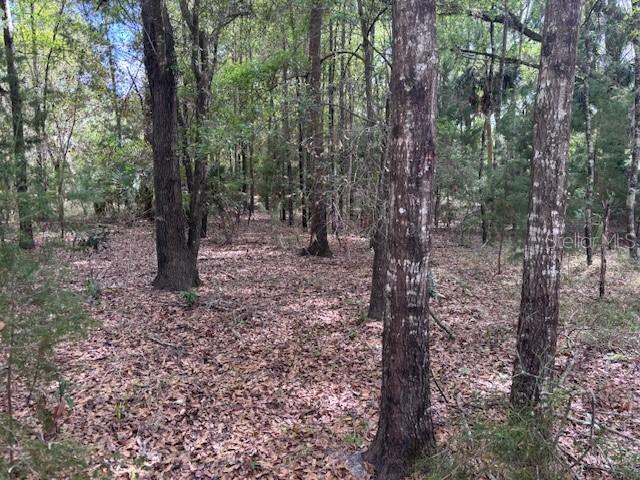 1.77 acres NW 73 St., Chiefland, FL 32626