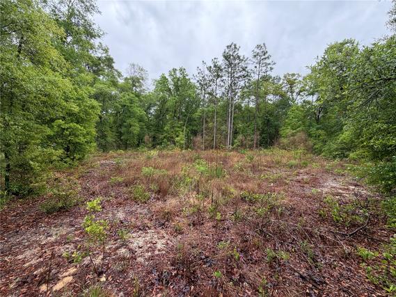 New Homes For Sale This Week in Hawthorne: April 3rd to April 9th