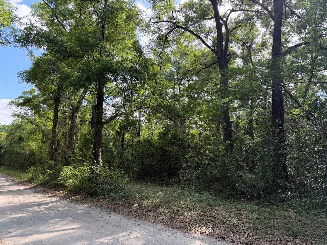 1410 NW 10th St., Chiefland, FL 32626