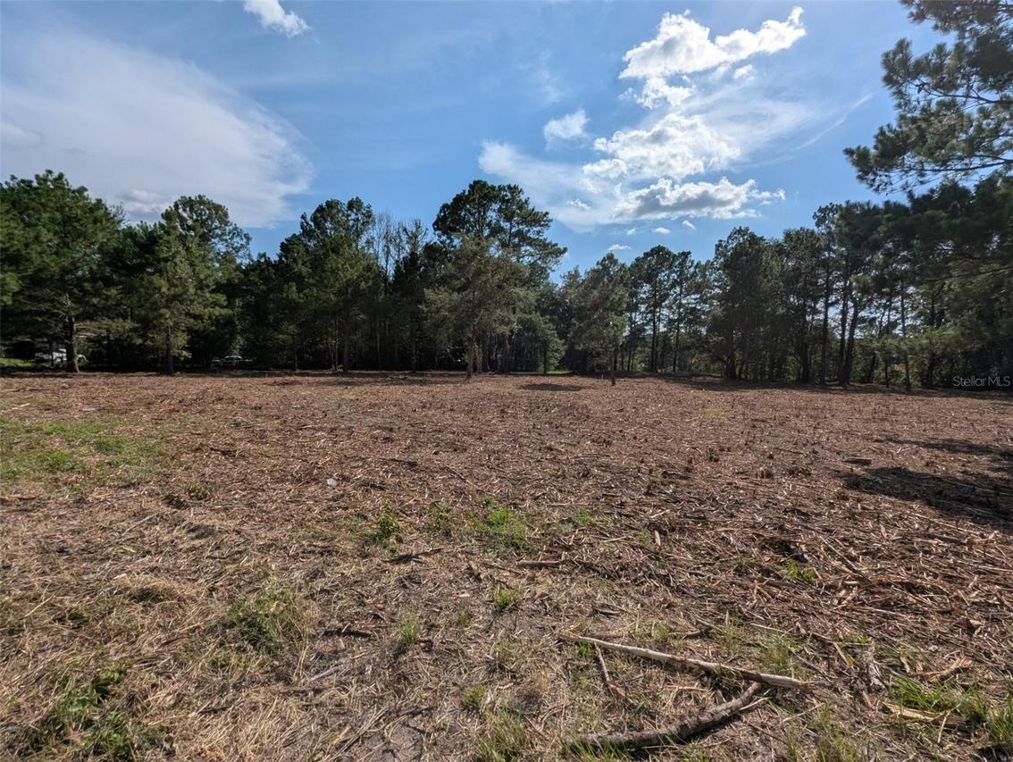 5781 SW 91st Pl., Lake Butler, FL 32054