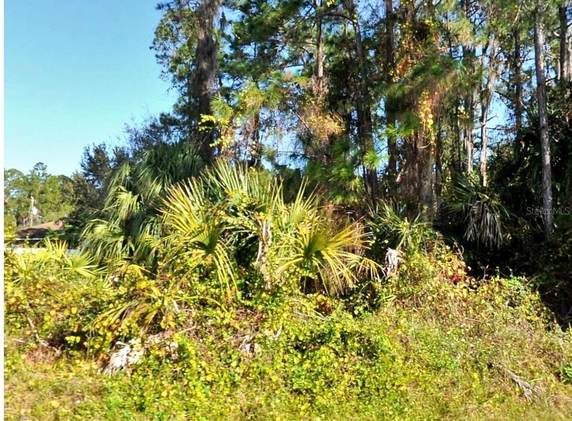 Zambrana Ave., North Port, FL 34286