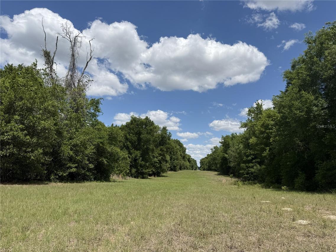 NW 140th St., Chiefland, FL 32626