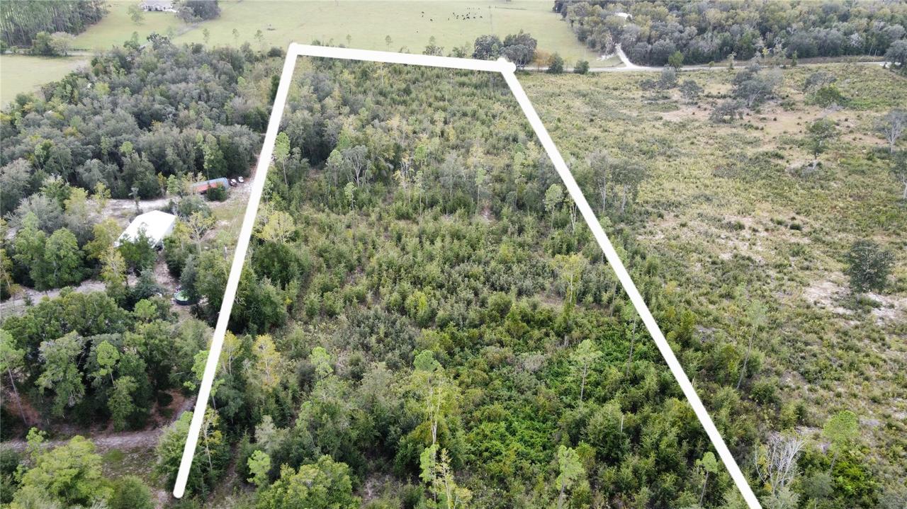 5905 SW 298th Street St., Newberry, FL 32669