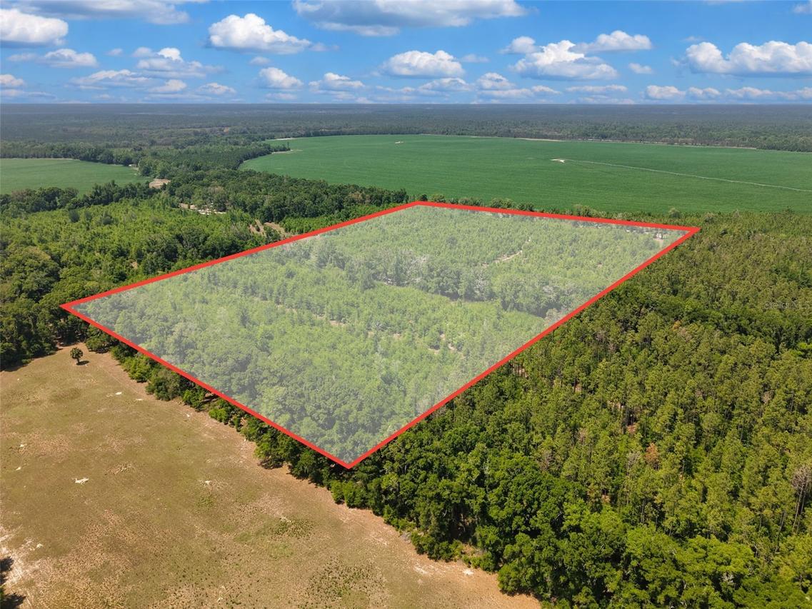 TBD 000 NE 998th Ave., Branford, FL 32008