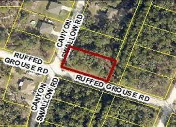 Canyon Swallow Rd (parcel Key 00784734), Weeki Wachee, FL 34614