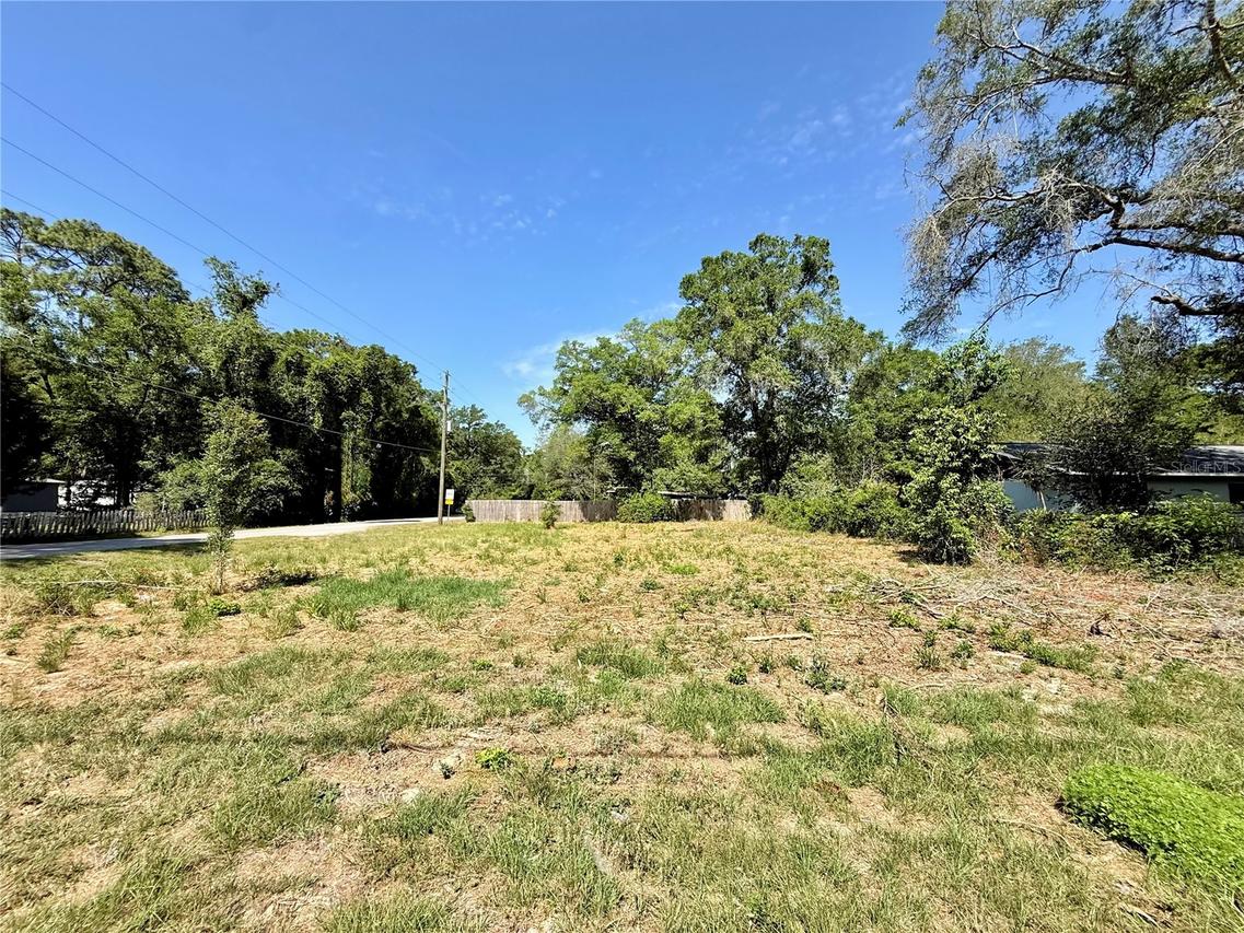 TBD NW 12th Ln., Morriston, FL 32668
