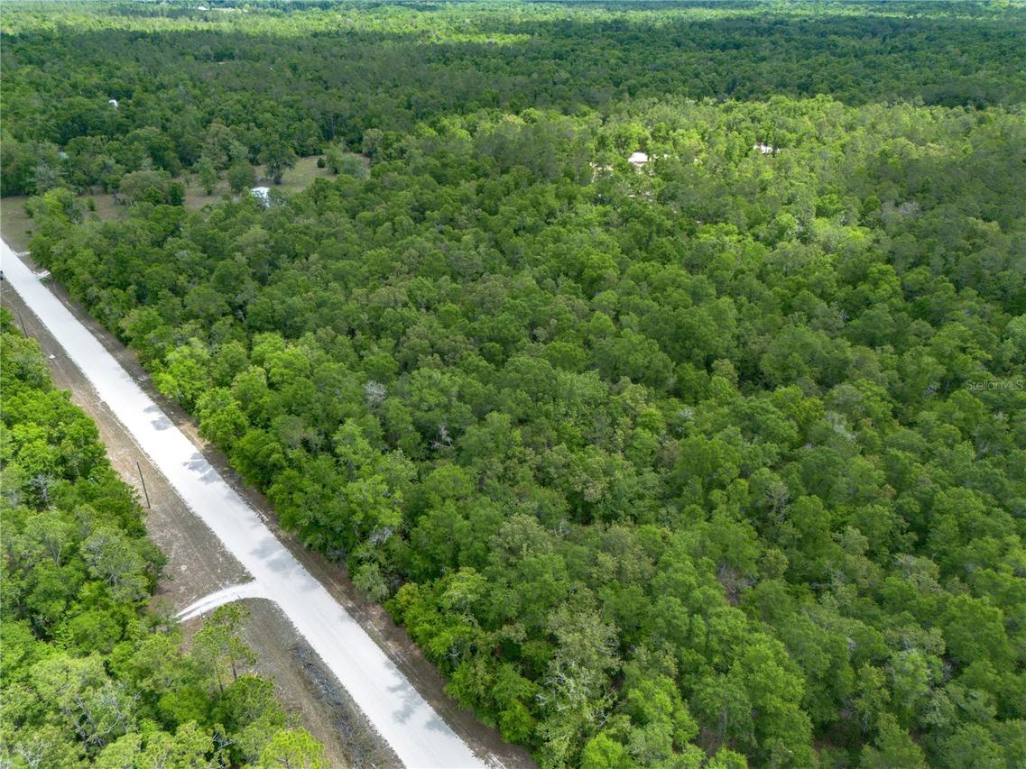 Sw Loncala Loop, Fort White, FL 32038