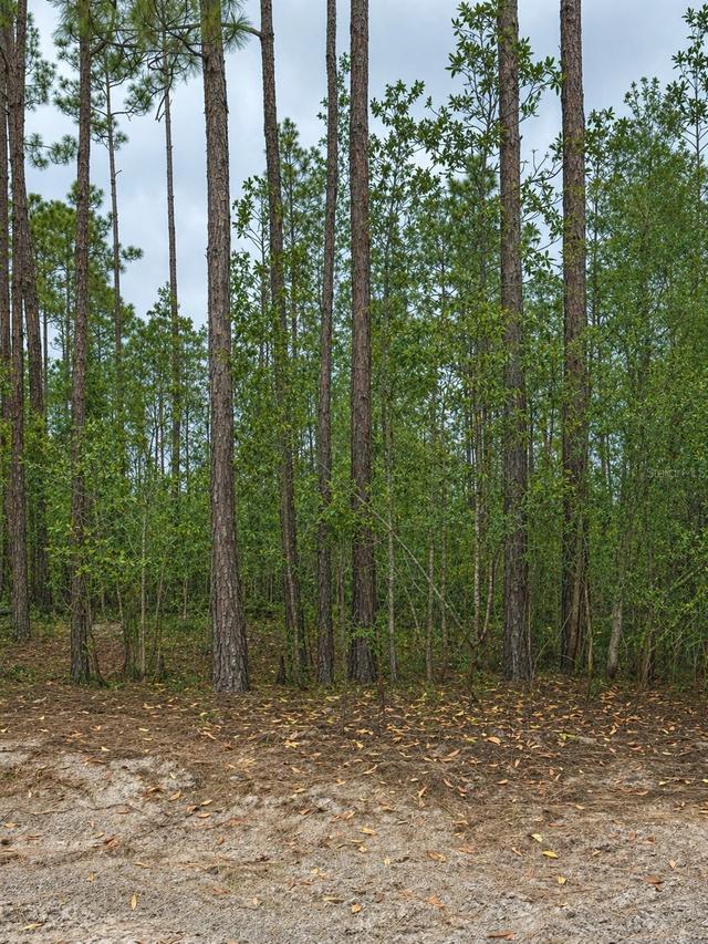 TBD NW 2nd Ave., Palatka, FL 32177
