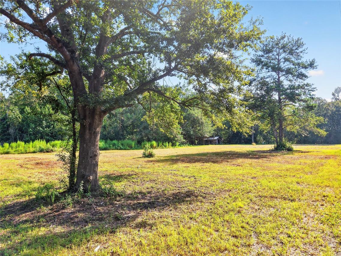 4814 NW 244 Ave., Alachua, FL 32615