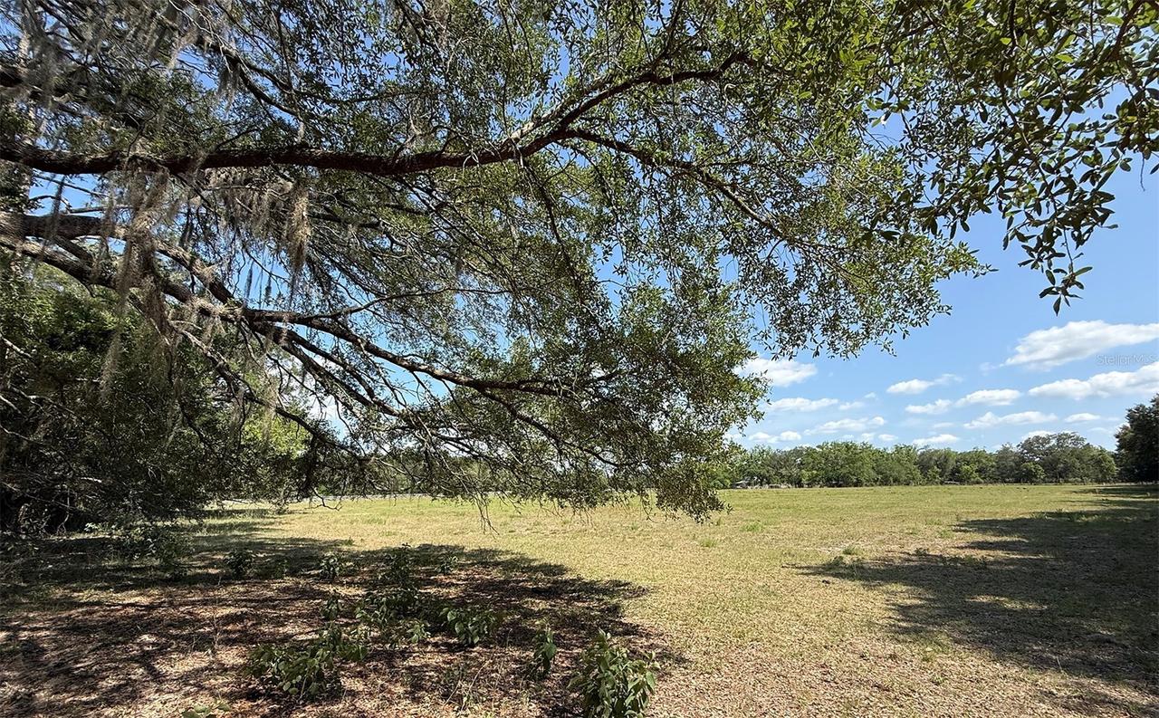 18919 NW 62nd Ave., Alachua, FL 32615