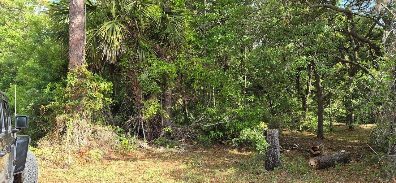 9351 NW 120th St., Chiefland, FL 32626