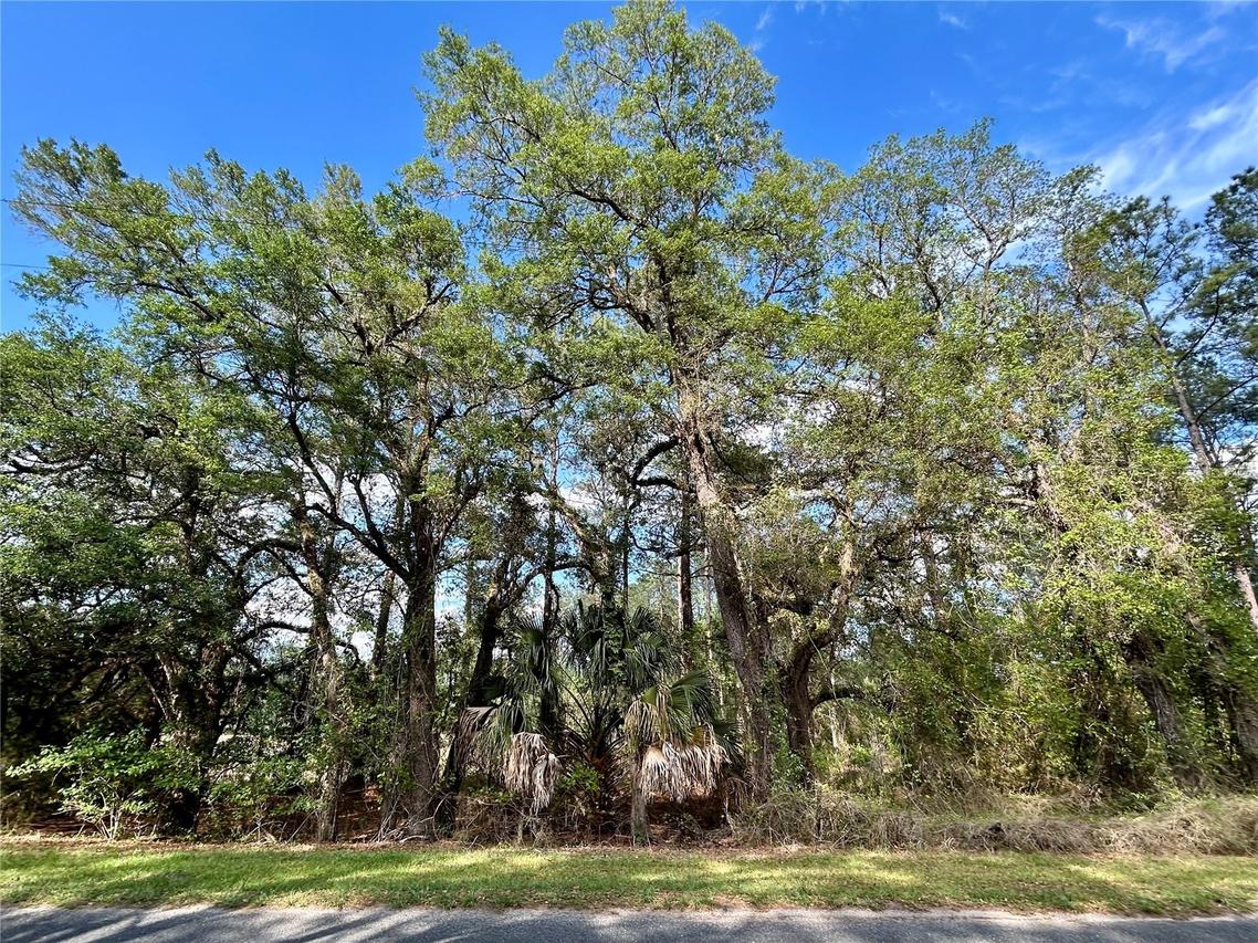 4819 NE 211th Dr., Earleton, FL 32631