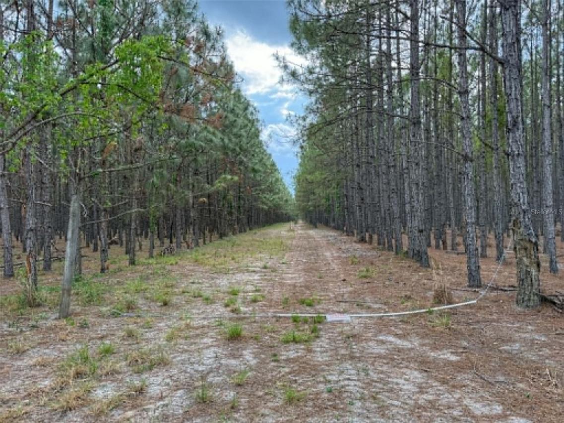 TBD SE Pearl Fletcher Rd., Branford, FL 32008