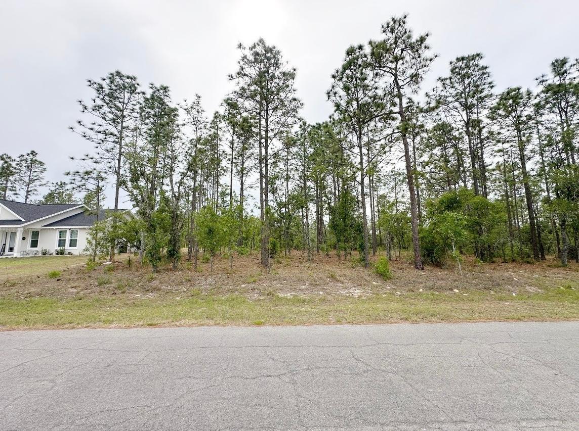 TBD NE 150th , Lot 10 Ave., Williston, FL 32696