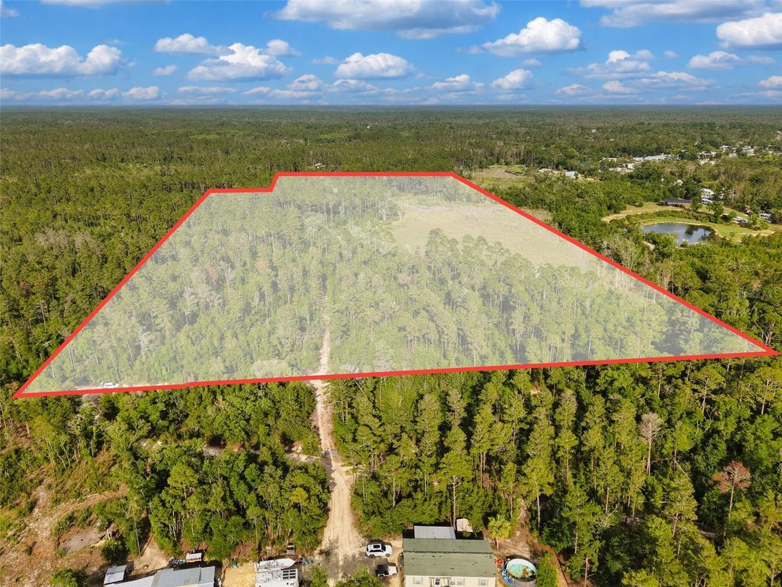 Savanna Ln., Steinhatchee, FL 32359