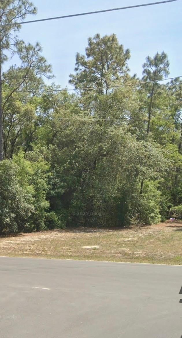 Tbd Locust Trak,  34472, Ocala, FL 34472