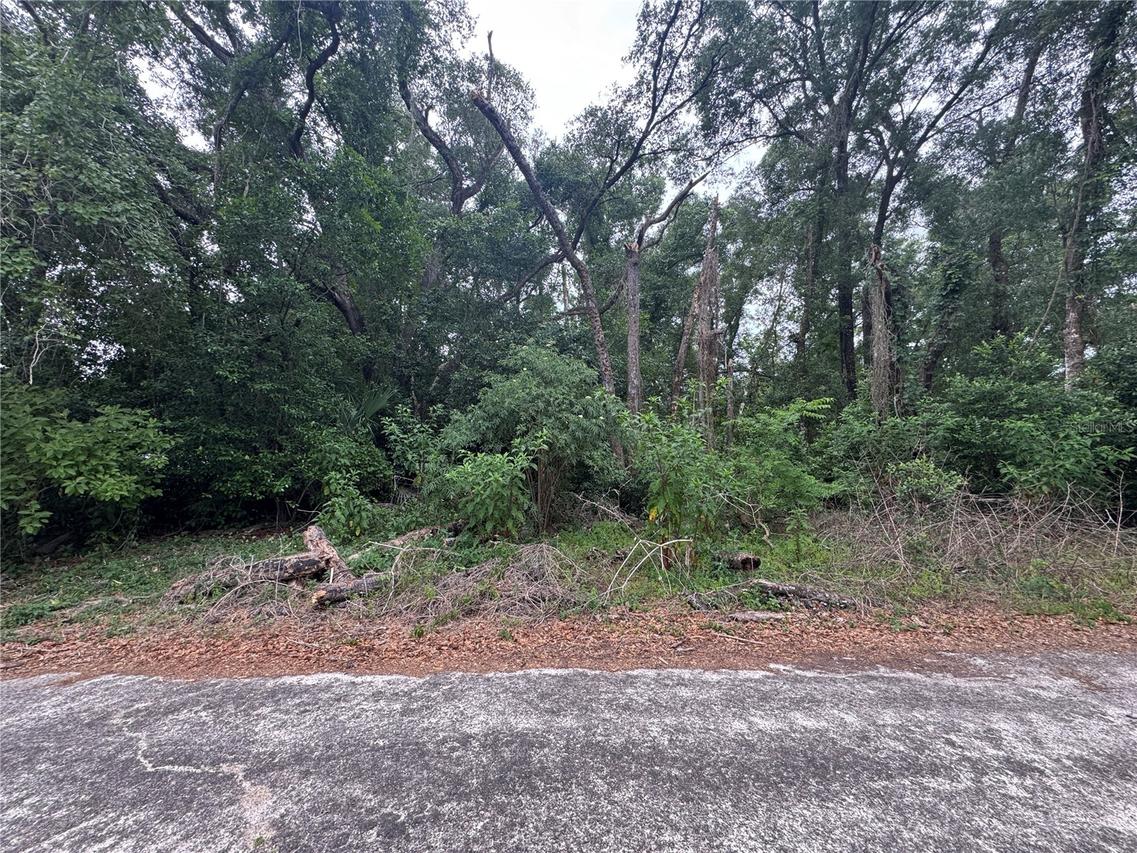 3638 E Lee Dr., Inverness, FL 34453