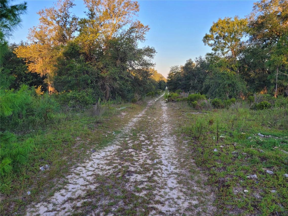 00 NE 61st Ln., Williston, FL 32696