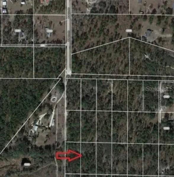 SE 60 St., Morriston, FL 32668